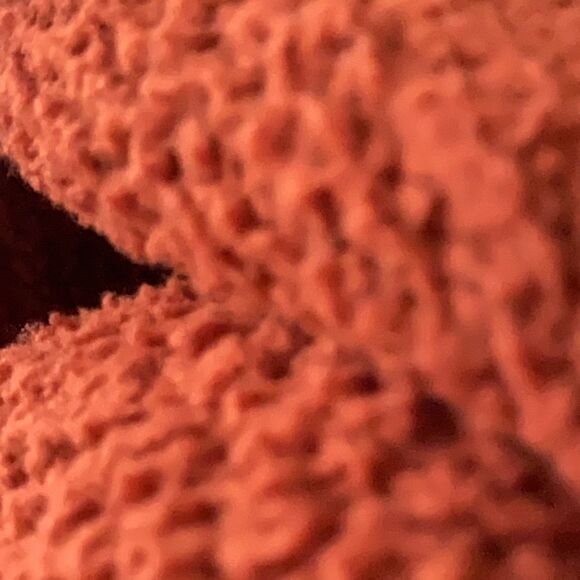 Gilly Hicks Rust Brown Cropped Hoodie - Picture 6 of 8